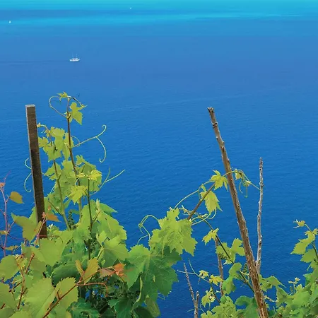 2 Bedroom Amazing In *