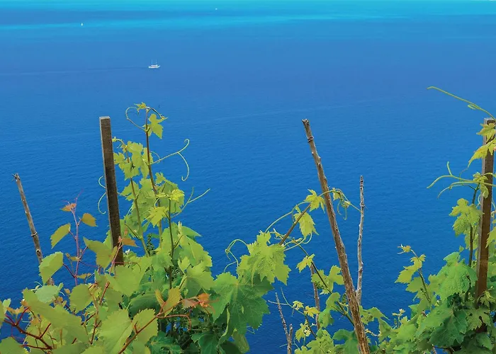 2 Bedroom Amazing In *